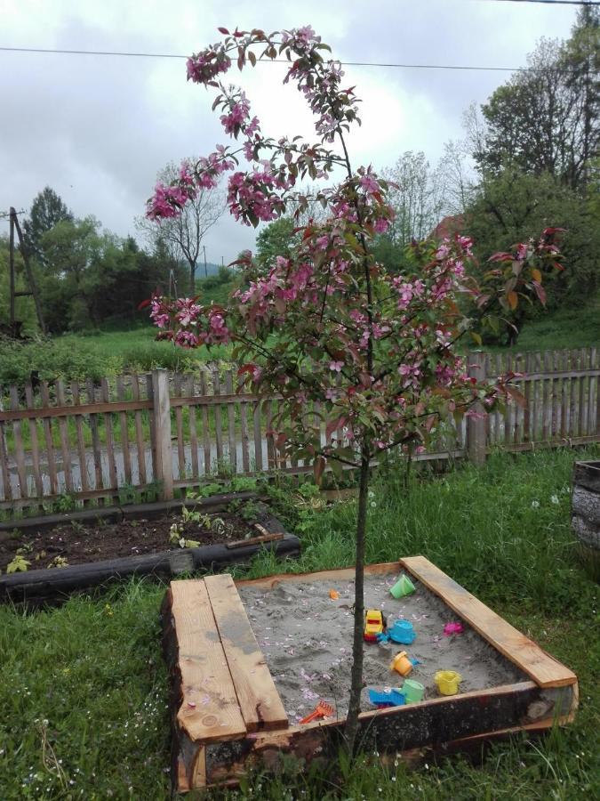 Pod Bieszczadem Villa Jasliska Kültér fotó